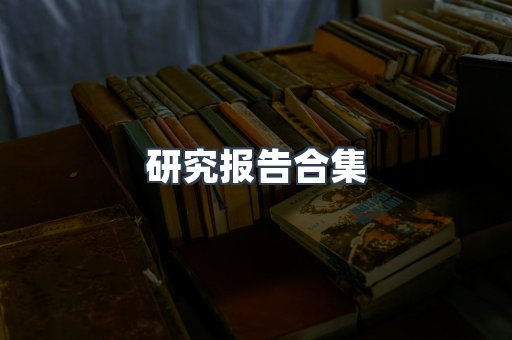 研究报告合集
